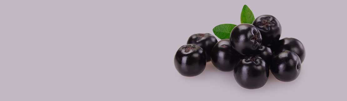 Aronia