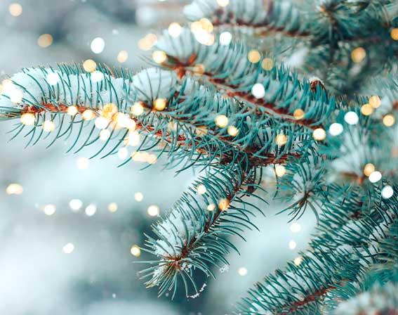 Weihnachtsgeschenke für Ihn