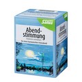 ABENDSTIMMUNG Kräutertee Salus Filterbeutel