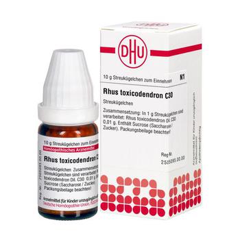 RHUS TOXICODENDRON C 30 Globuli