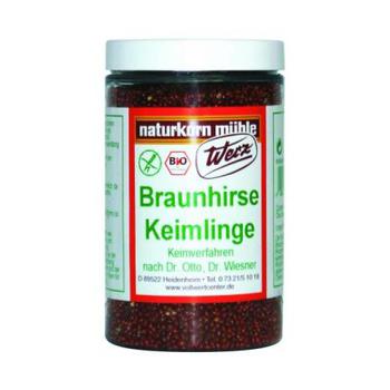 Werz Braunhirse Keimlinge
